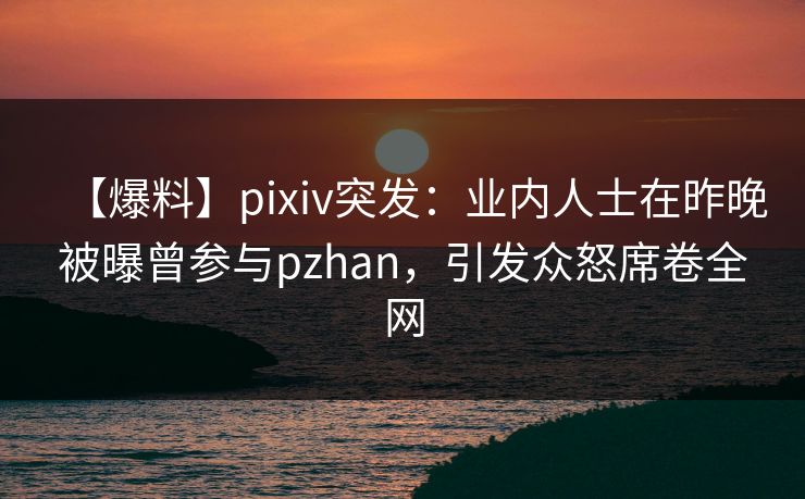 【爆料】pixiv突发：业内人士在昨晚被曝曾参与pzhan，引发众怒席卷全网