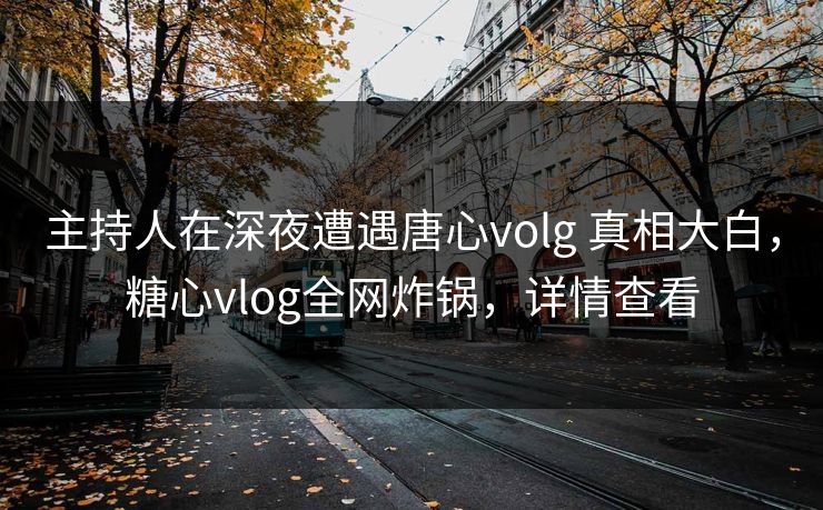 主持人在深夜遭遇唐心volg 真相大白，糖心vlog全网炸锅，详情查看