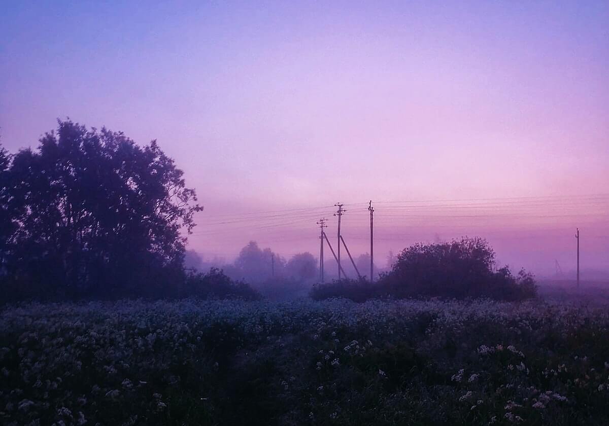 91网盘点：秘闻10个细节真相，明星上榜理由极其令人爆红网络
